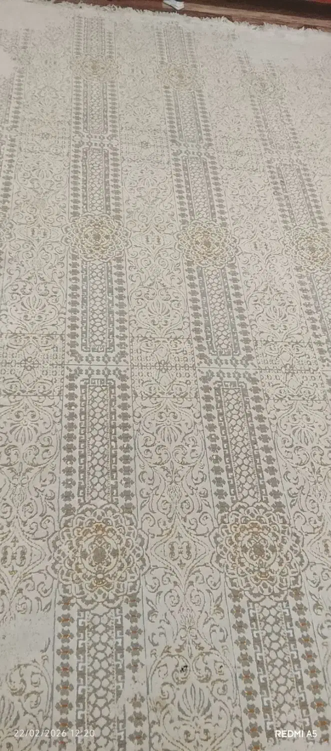 فرش ۶ متری|فرش|نوشهر, |دیوار