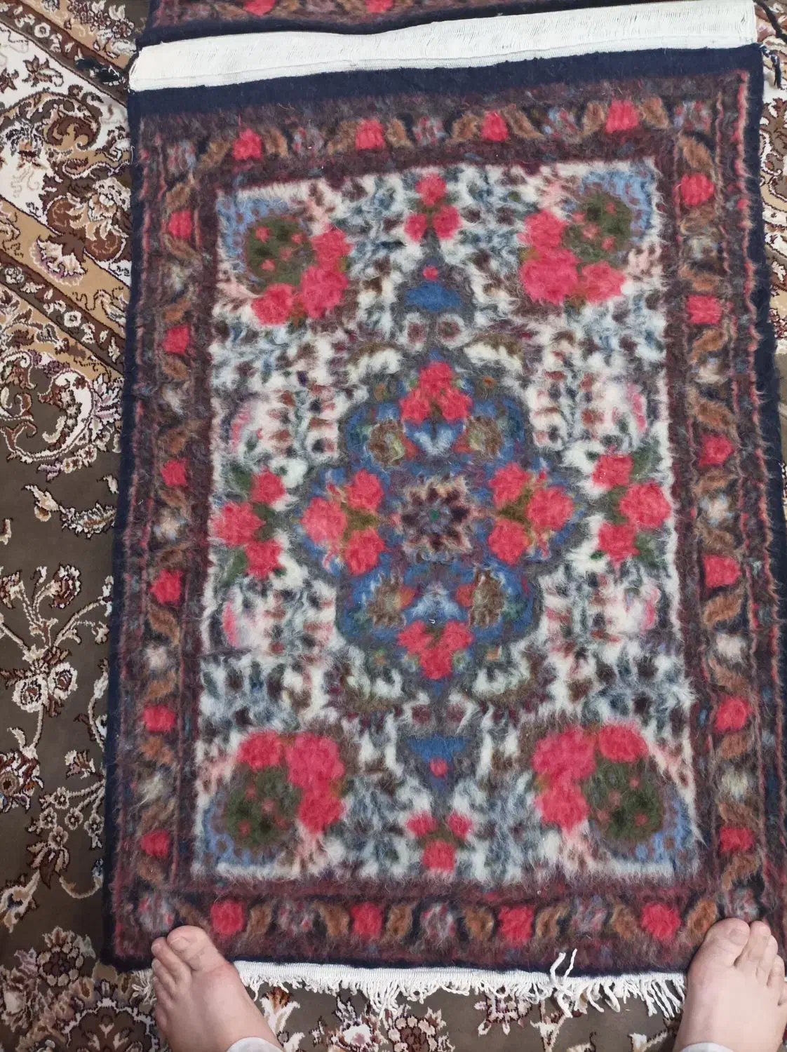 فرش دستبافت|فرش|ورامین, ورامین|دیوار