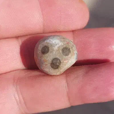 سنگ سلیمانی باباقوری مُصوّر|کلکسیون اشیاء عتیقه|اهواز, کمپلو شمالی|دیوار