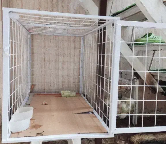 قفس سگ قفس گربه و هرپتی گنجه مرغ و خروس|لوازم جانبی حیوانات|تهران, تهرانپارس شرقی|دیوار