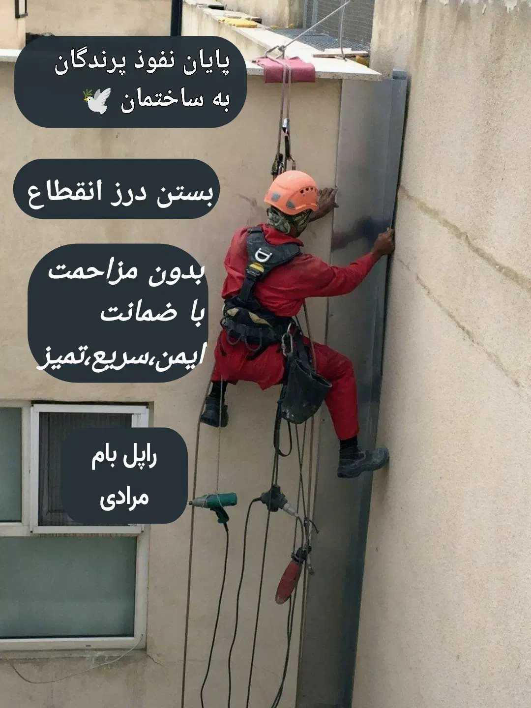 خدمات پیچ رولپلاک نما درمشهدبندباز،رنگ شستشو،ضمانت|خدمات پیشه و مهارت|مشهد, کوثر|دیوار