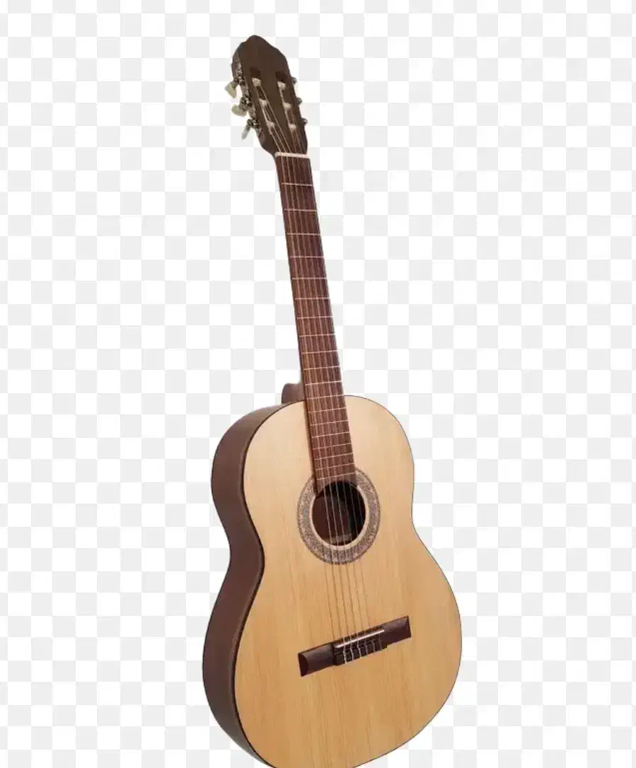 گیتار بنبرگ BG 491M|گیتار، بیس، امپلیفایر|اصفهان, محمودیه|دیوار