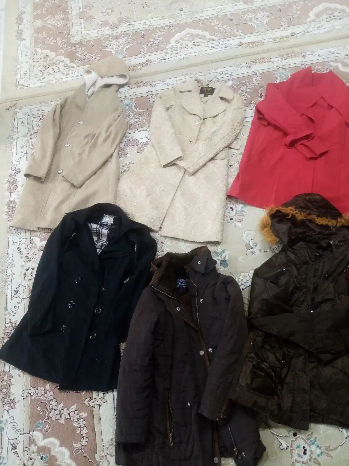 پالتو و بارانی|لباس|دورود, |دیوار