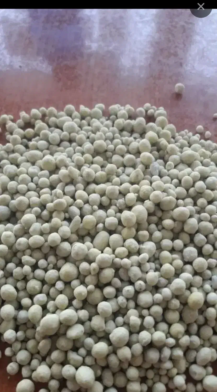 کود رازی وانواع پیش کشت|خدمات باغبانی و درختکاری|خزل, |دیوار