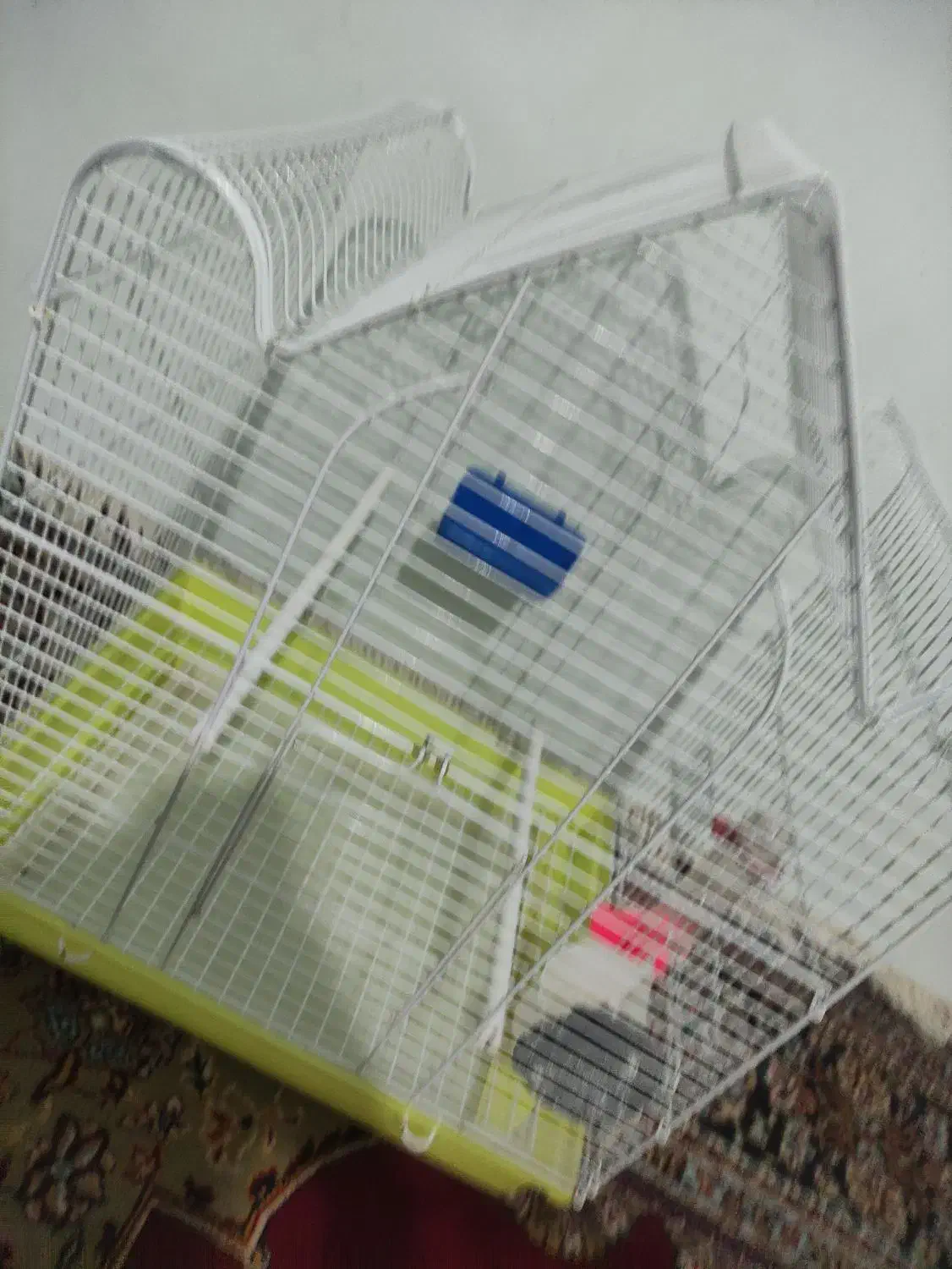 قفسه|لوازم جانبی حیوانات|خرم‌آباد, |دیوار