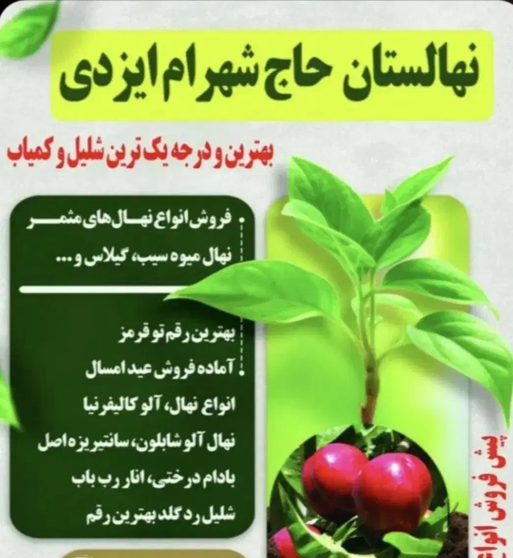 فروش انواع نهال تضمینی|گل و گیاه طبیعی|پارسآباد, |دیوار