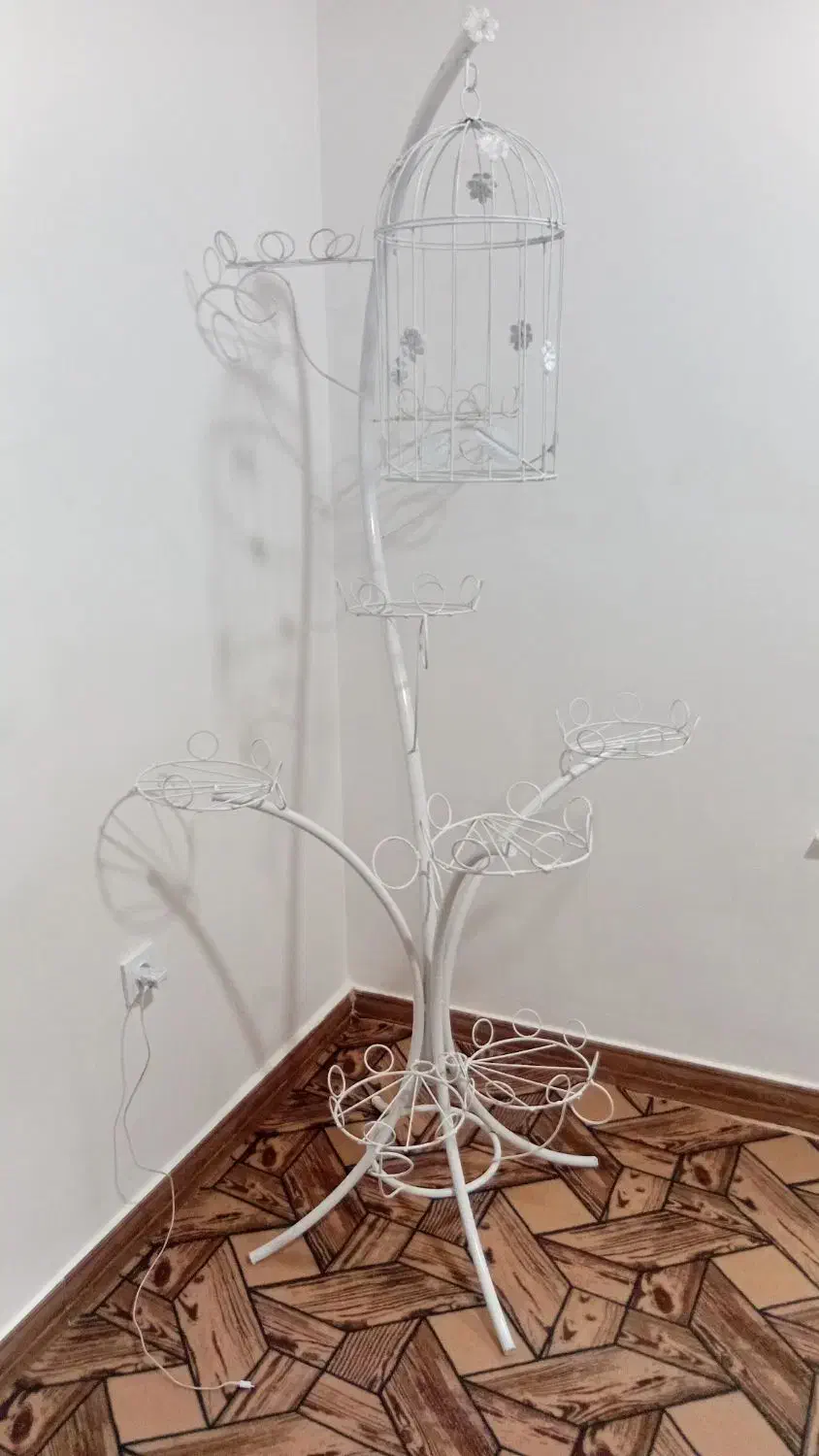 جاگلدانی رویال|گل و گیاه طبیعی|مراغه, |دیوار