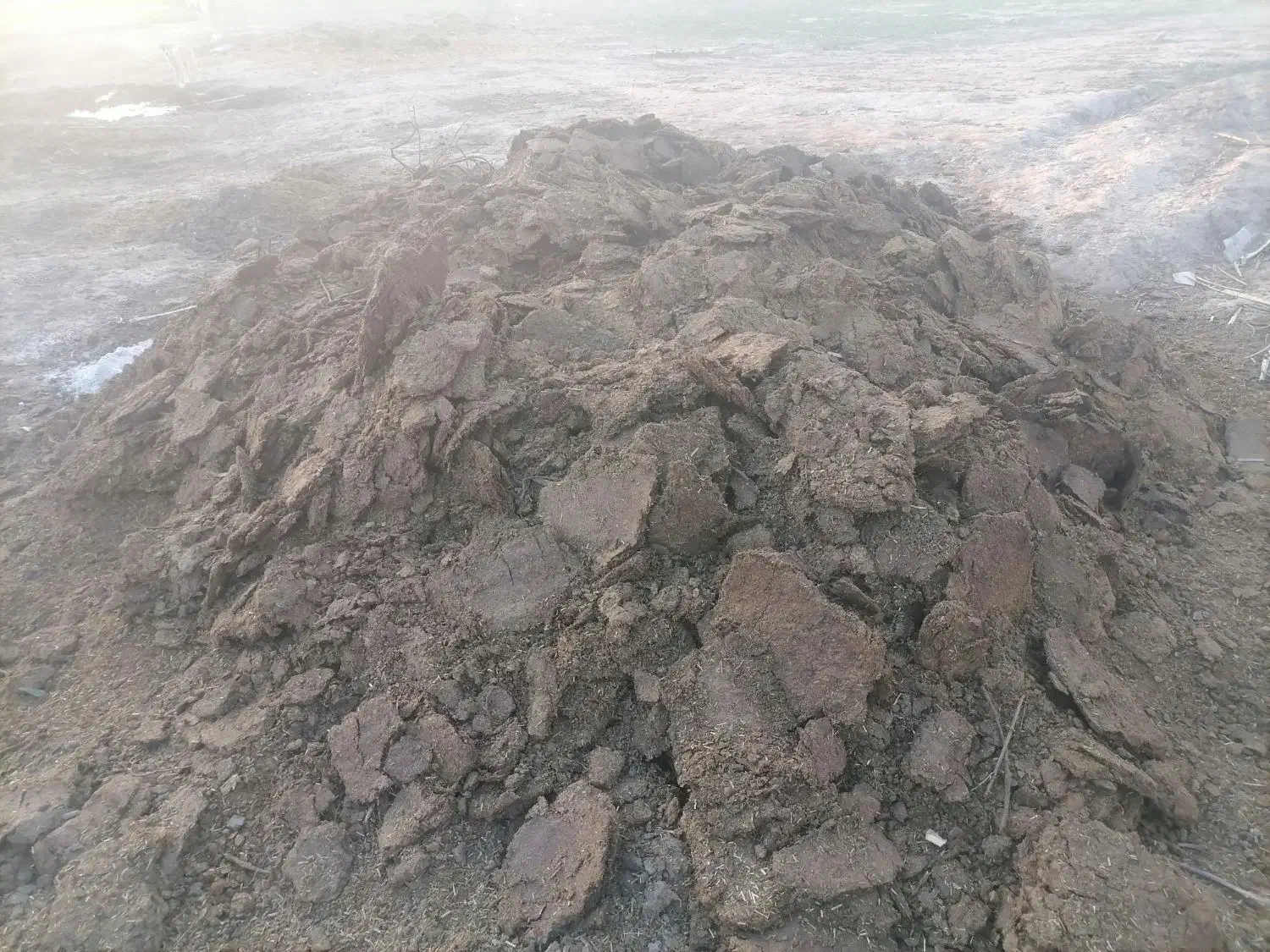 پهن گاو|خدمات باغبانی و درختکاری|گالیکش, |دیوار