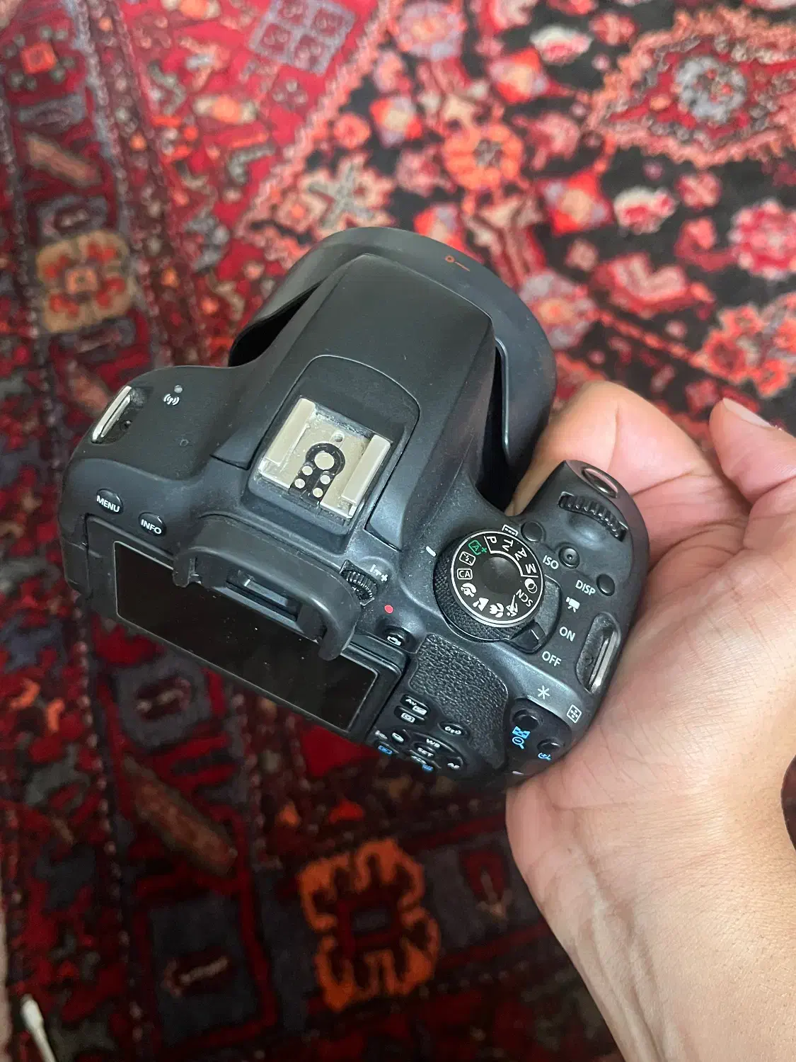 دوربین۸۰۰ دی|دوربین عکاسی و فیلمبرداری|قزوین, |دیوار