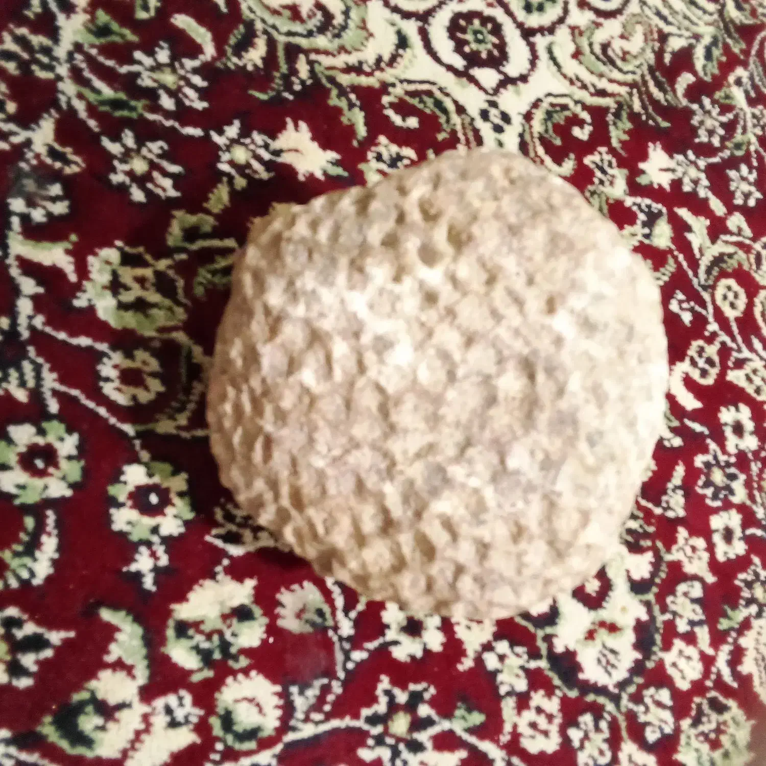 فسیل|کلکسیون اشیاء عتیقه|مهربان, |دیوار