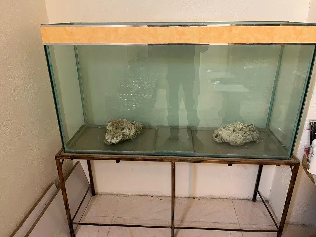 آکواریوم|ماهی|تهران, دربند|دیوار