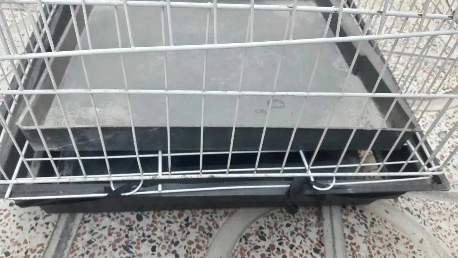 فروش|لوازم جانبی حیوانات|نقده, |دیوار