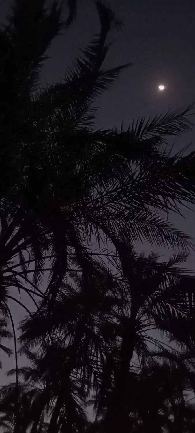 یک عدد ساعت پیدا شده|اشیا|سعدآباد, |دیوار