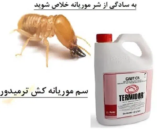 سم پاشی موریانه زدایی|خدمات نظافت|اصفهان, نقش جهان|دیوار