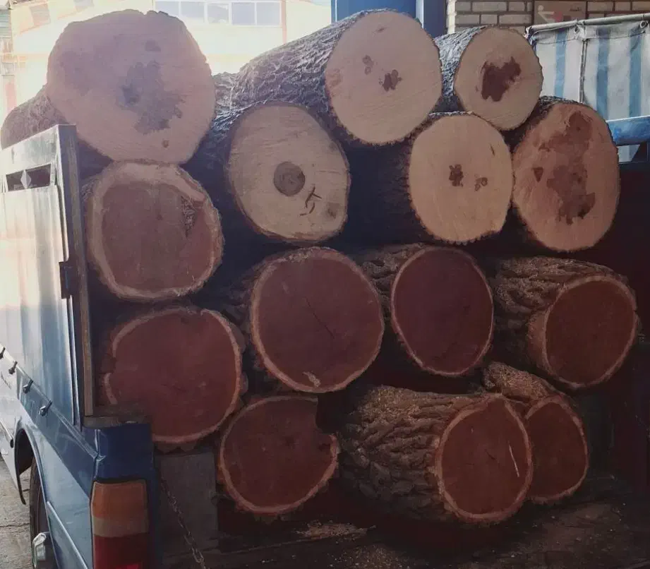 خریده چوب در استان مرکزی و شهرستان ها|خدمات باغبانی و درختکاری|آشتیان, |دیوار