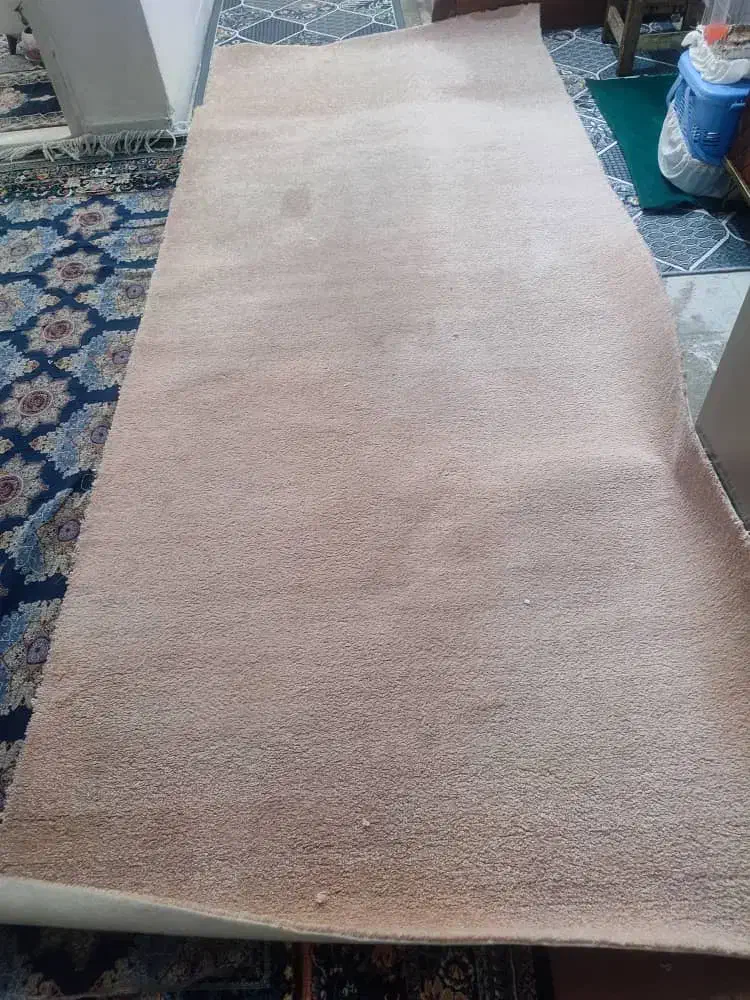 پالاز|موکت|قم, مصلاء|دیوار