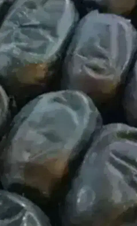 خرما|خوردنی و آشامیدنی|فهرج, |دیوار