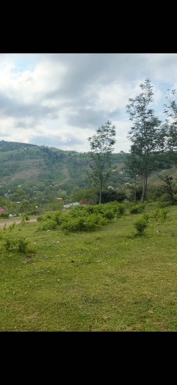 تور|تور و چارتر|ساوه, |دیوار