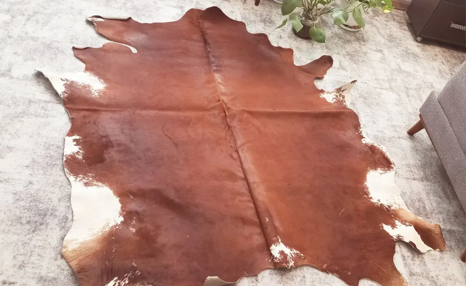 پوست بزرگ|فرش|مشهد, احمدآباد|دیوار