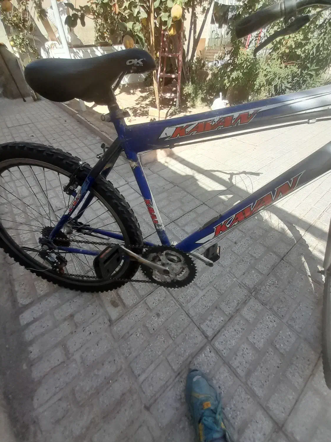 دوچرخه ۲۶ فوری پول لازم|دوچرخه، اسکیت، اسکوتر|تربتحیدریه, کاشانی|دیوار