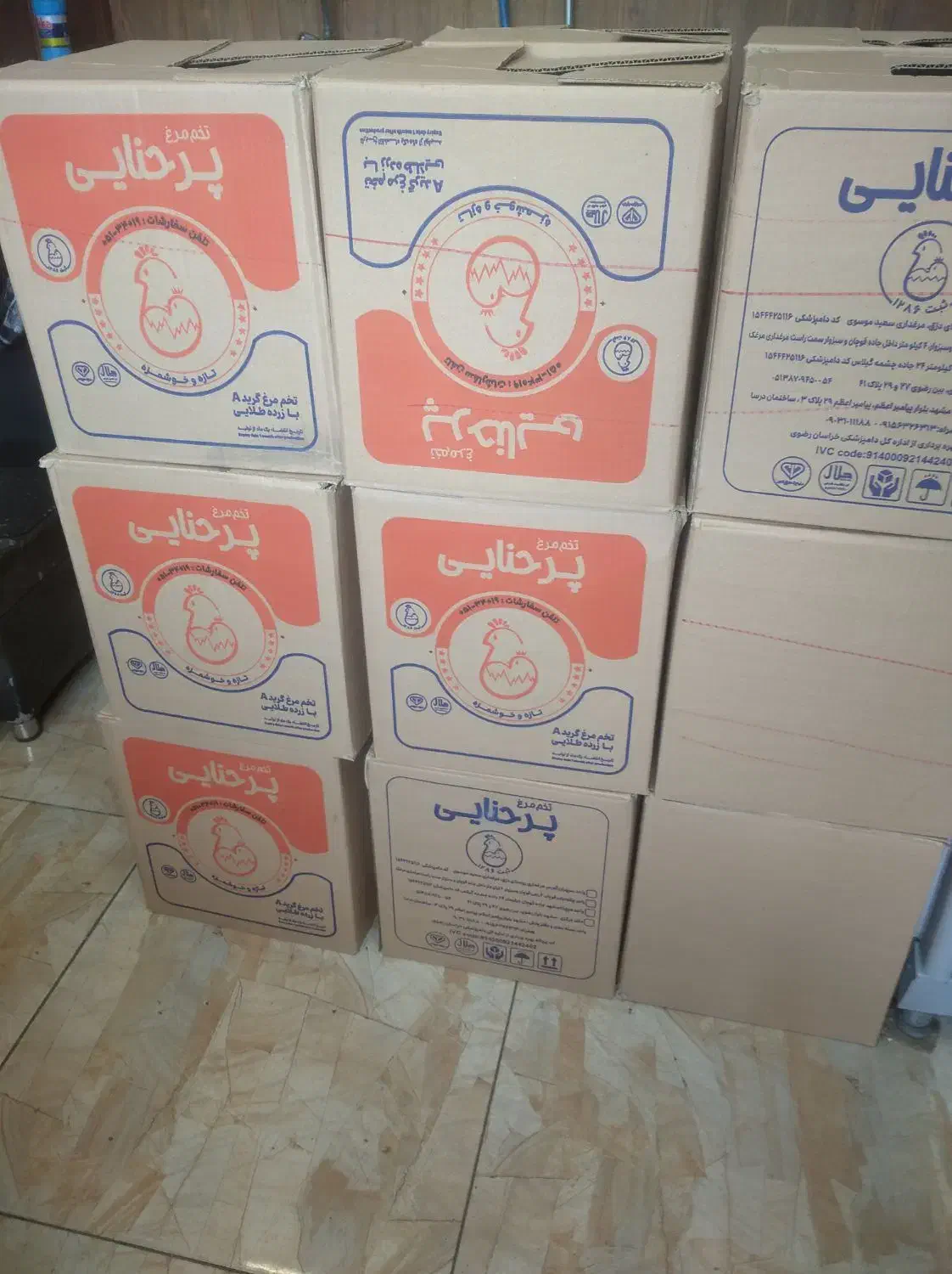 پخش تخم مرغ غنی شده|خوردنی و آشامیدنی|مشهد, حجت|دیوار