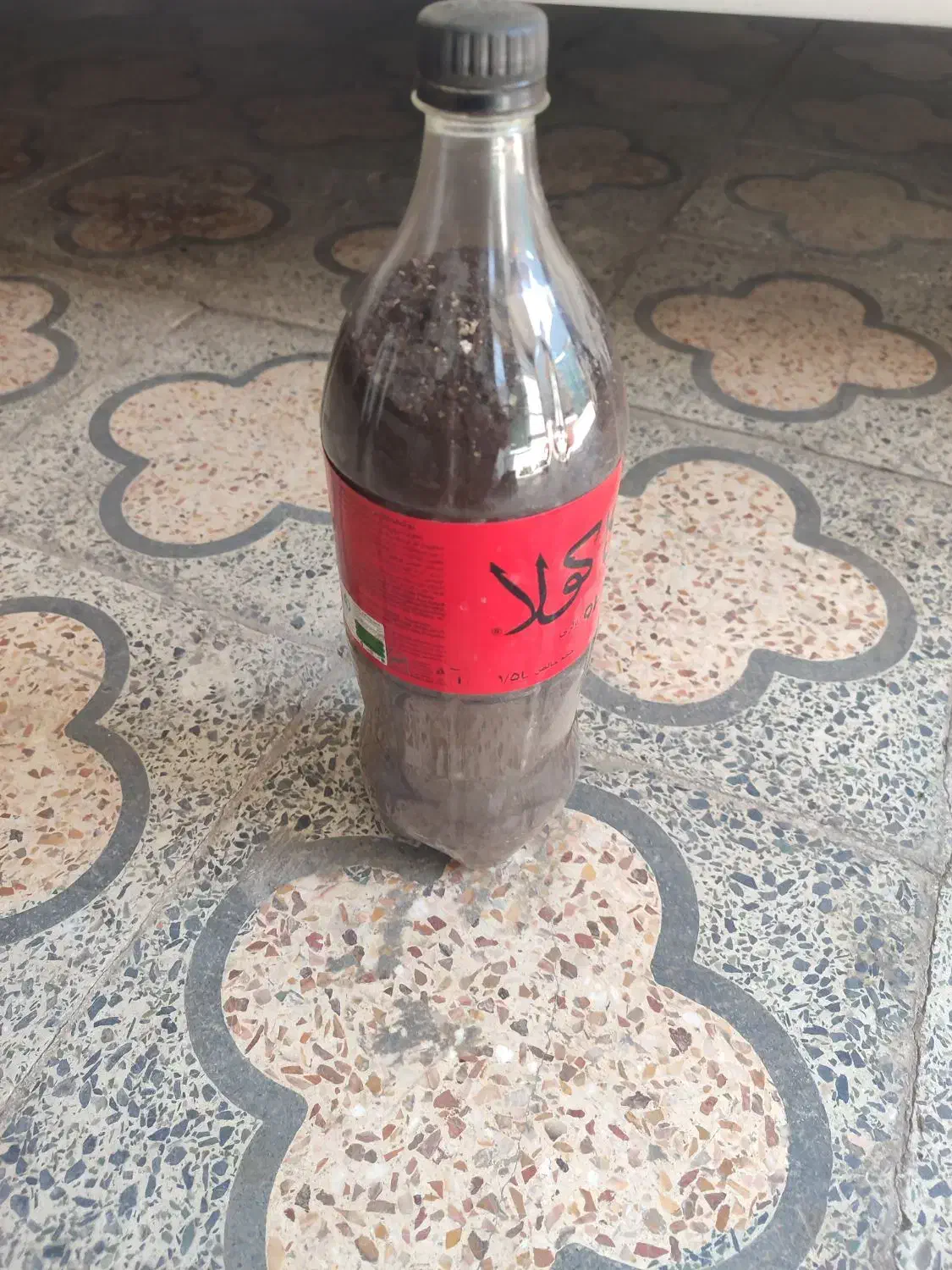 خاک آهن|گل و گیاه طبیعی|شوشتر, |دیوار