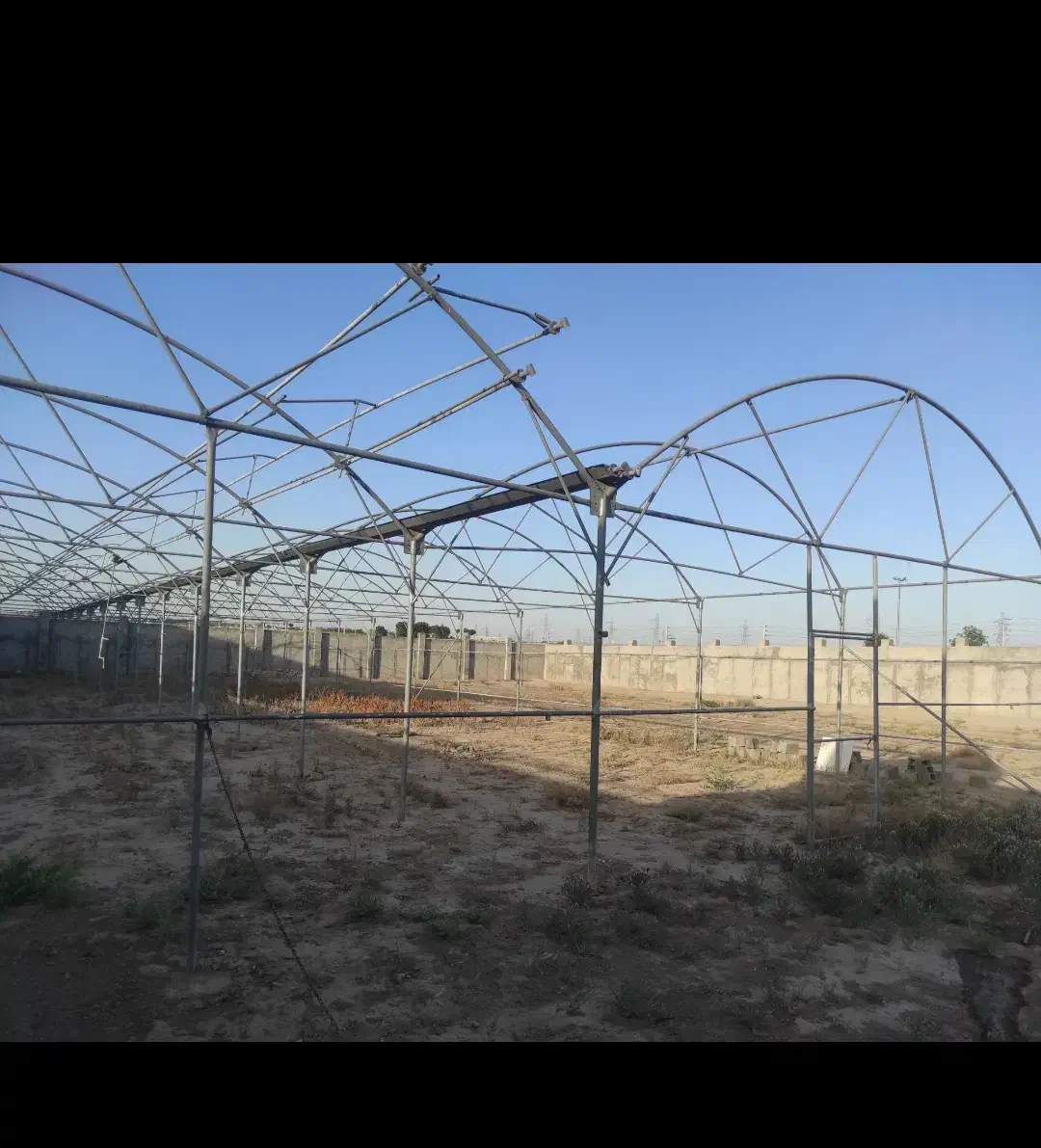 سازه گلخانه فروش فوری|فروش دفتر صنعتی، کشاورزی، تجاری|رباطکریم, حصار مهتر|دیوار