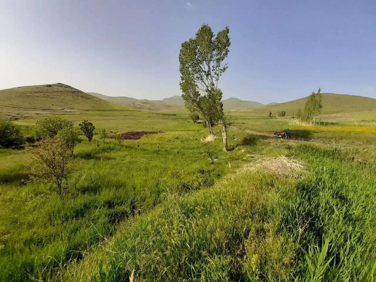 راهنمای خرید خانه|فعالیت داوطلبانه|زنجان, |دیوار