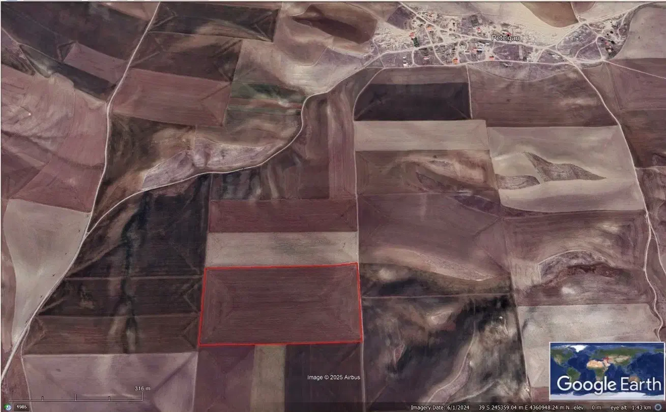 فروش قطعه زمین کشاورزی ۸ هکتار|فروش زمین و ملک کلنگی|قشلاق دشت, |دیوار