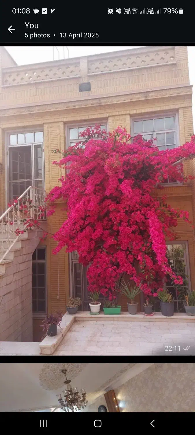 اجاره واحد میدان جهاد دوخوابه گلخونه‌ای|اجارهٔ خانه و ویلا|کاشان, باهنر|دیوار