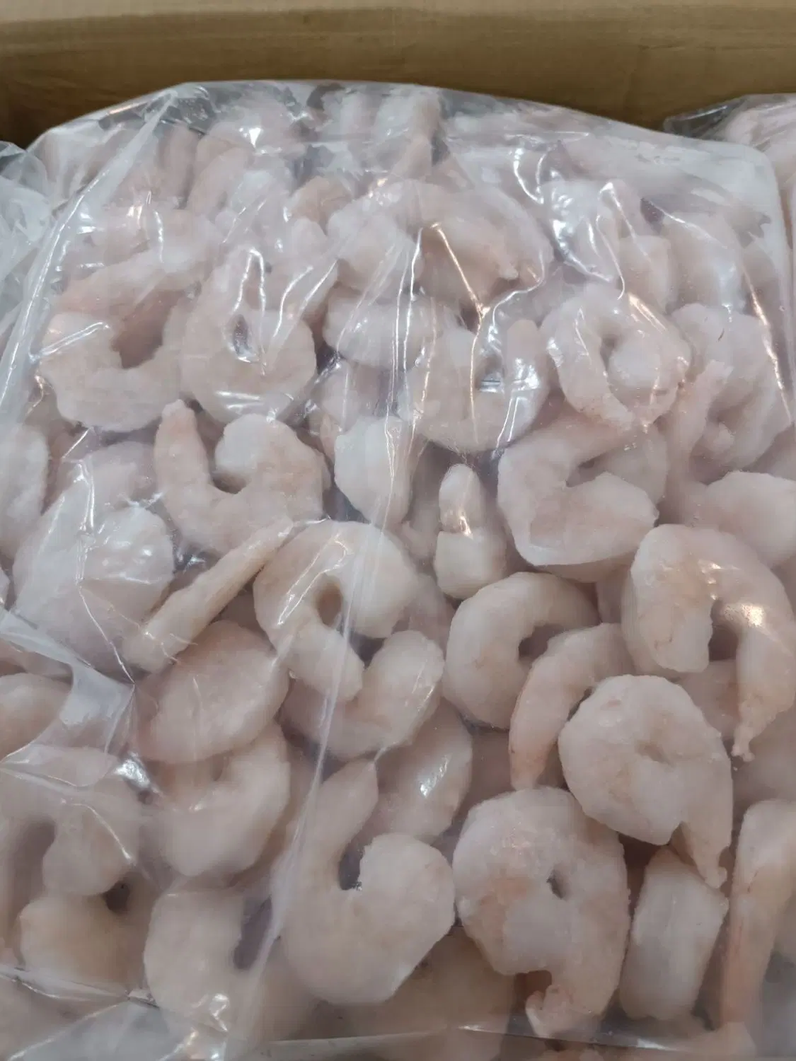 میگو، pd|خوردنی و آشامیدنی|چغادک, |دیوار