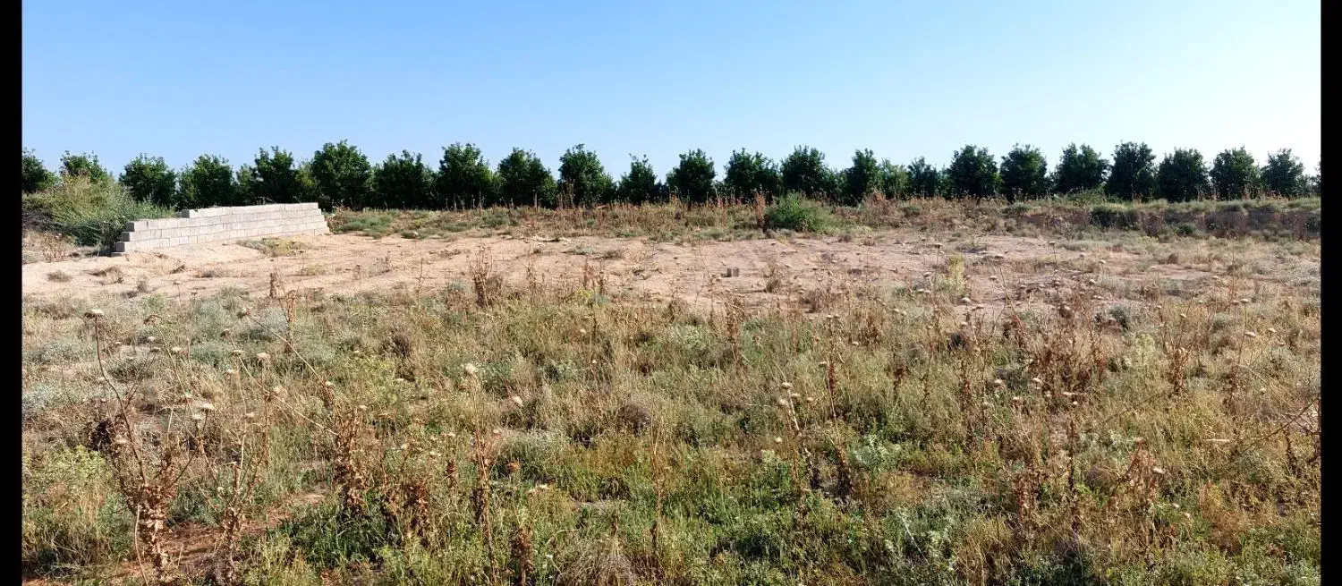 زمین سیامنصور|فروش دفتر صنعتی، کشاورزی، تجاری|دزفول, |دیوار