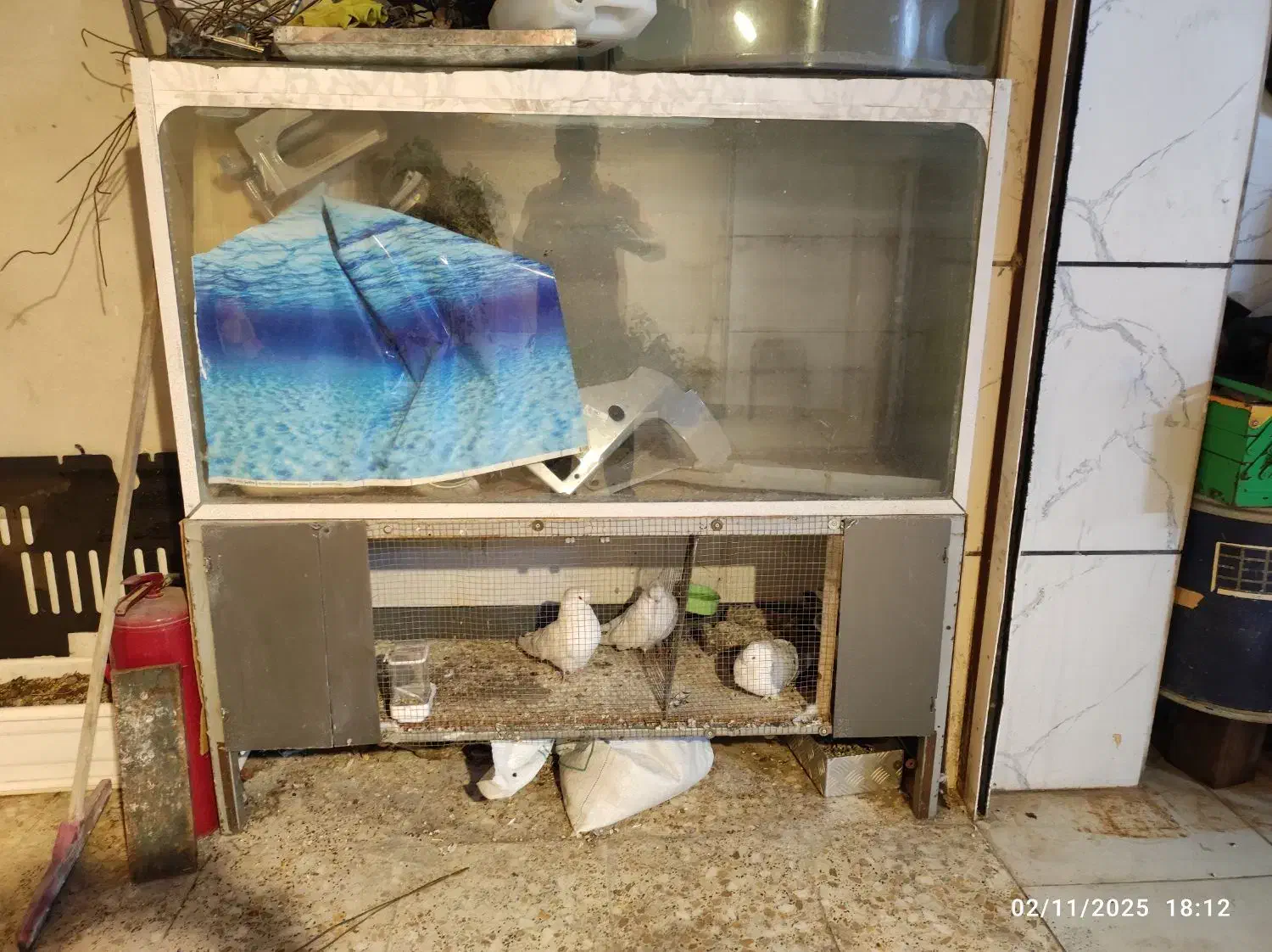 آکواریوم بزرگ ده میل|ماهی|الوند, |دیوار