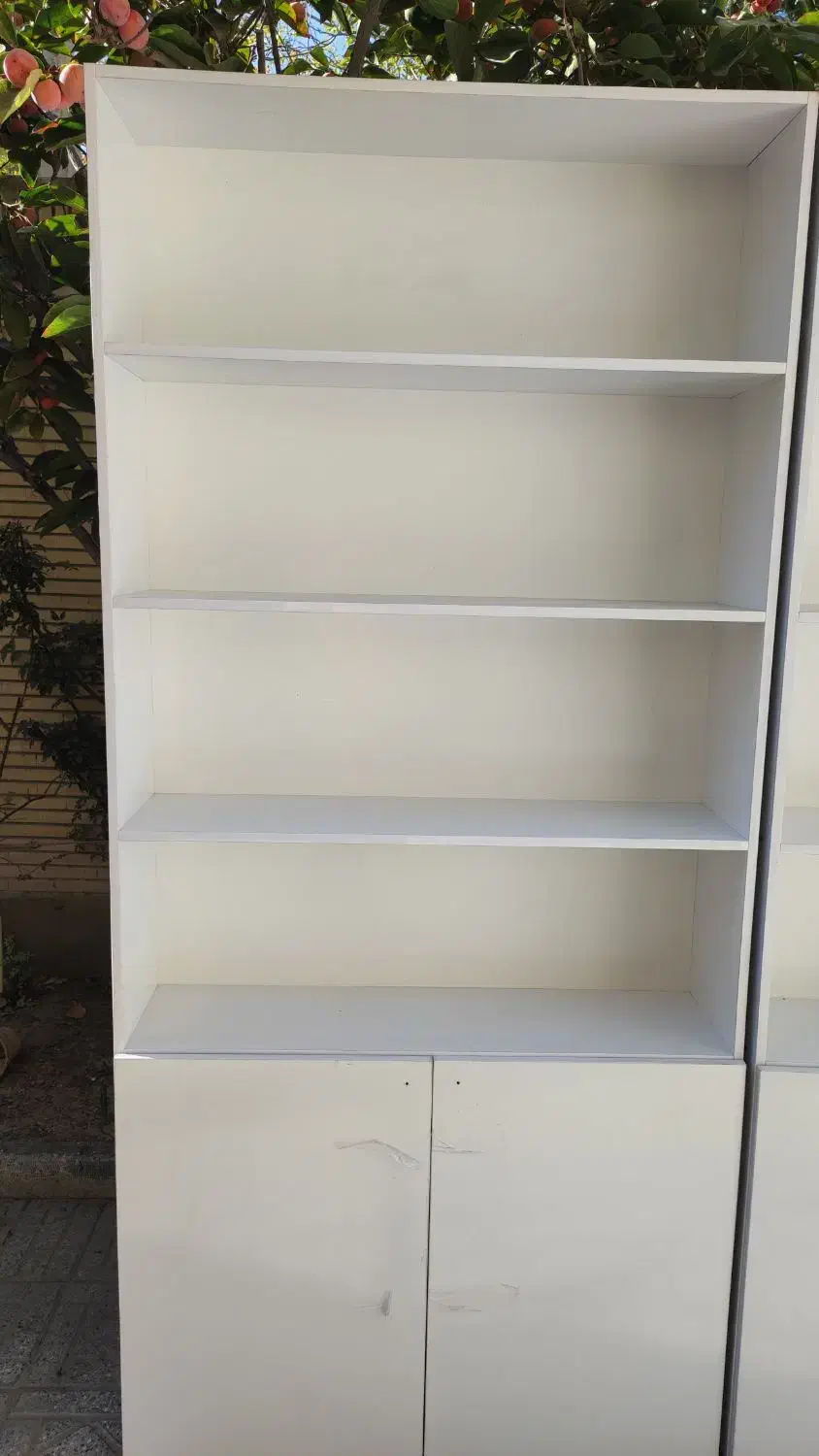 کتابخانه و دکور مغاز|کتابخانه، شلف، قفسه‌های دیواری|اصفهان, شهید رجایی|دیوار