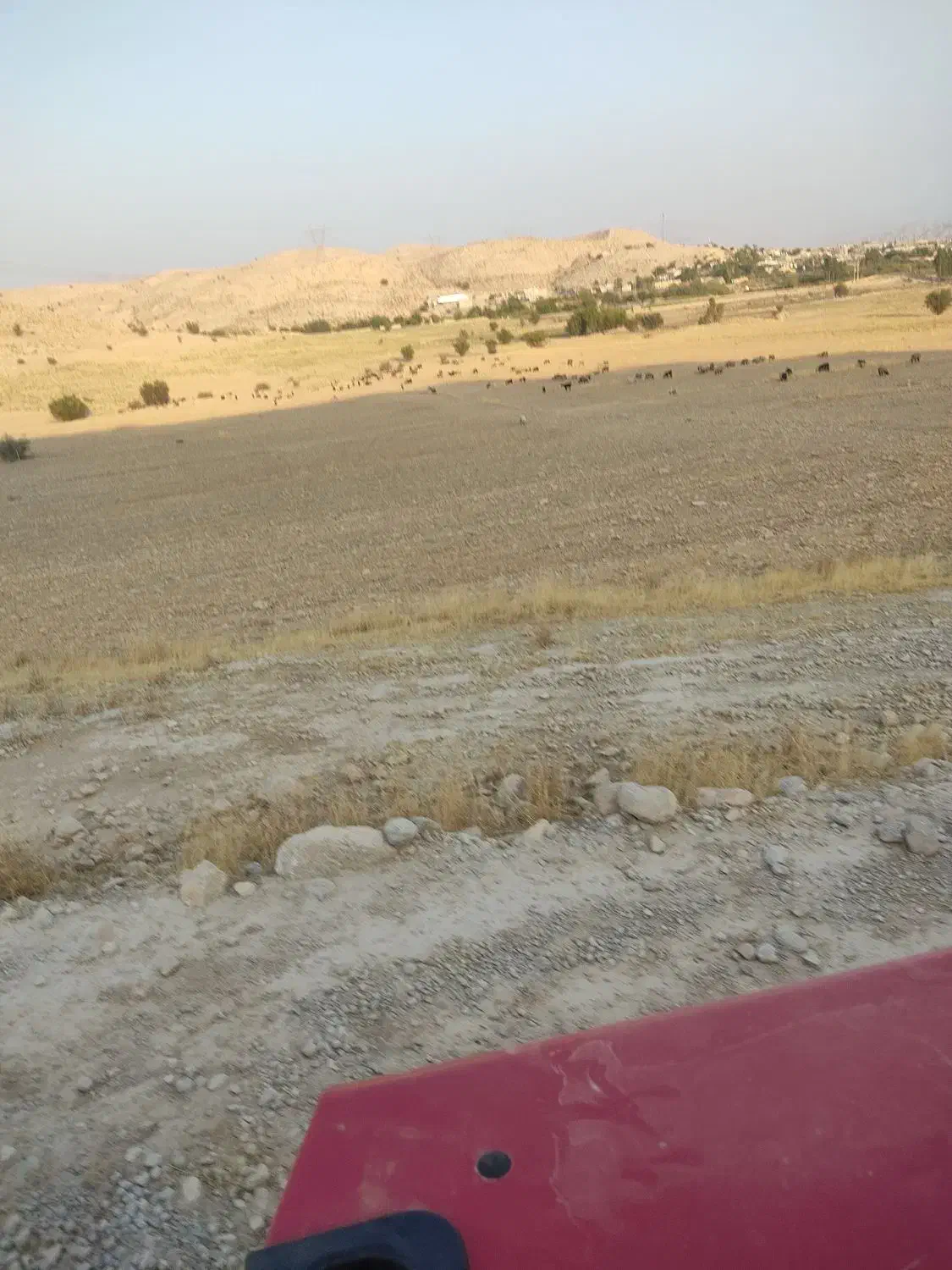 چوپان|استخدام سرایداری و نظافت|دوگنبدان, |دیوار