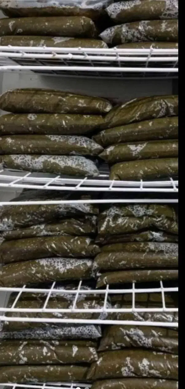 سبزی خورشتی رامهرمز فرقط کیلو۶۹|خوردنی و آشامیدنی|اهواز, زندوکیلی|دیوار