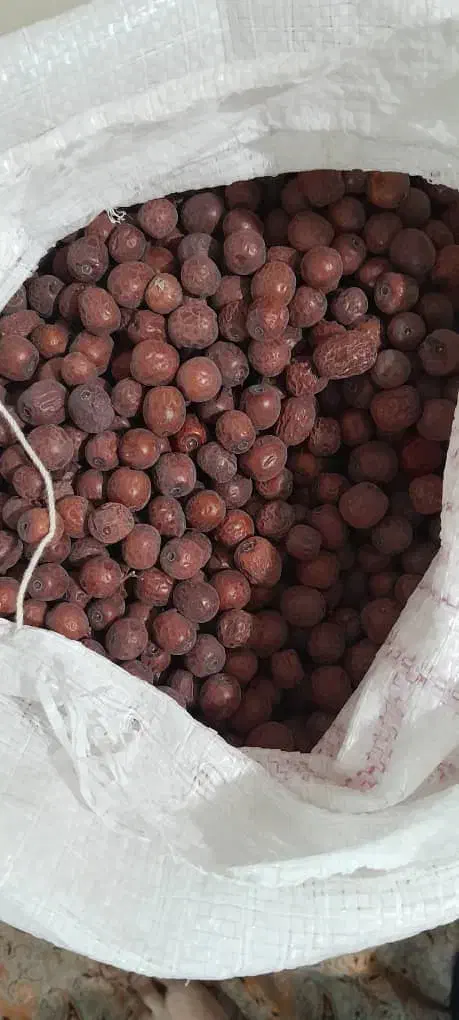 ارسال از رامهرمز|خوردنی و آشامیدنی|امیدیه, |دیوار