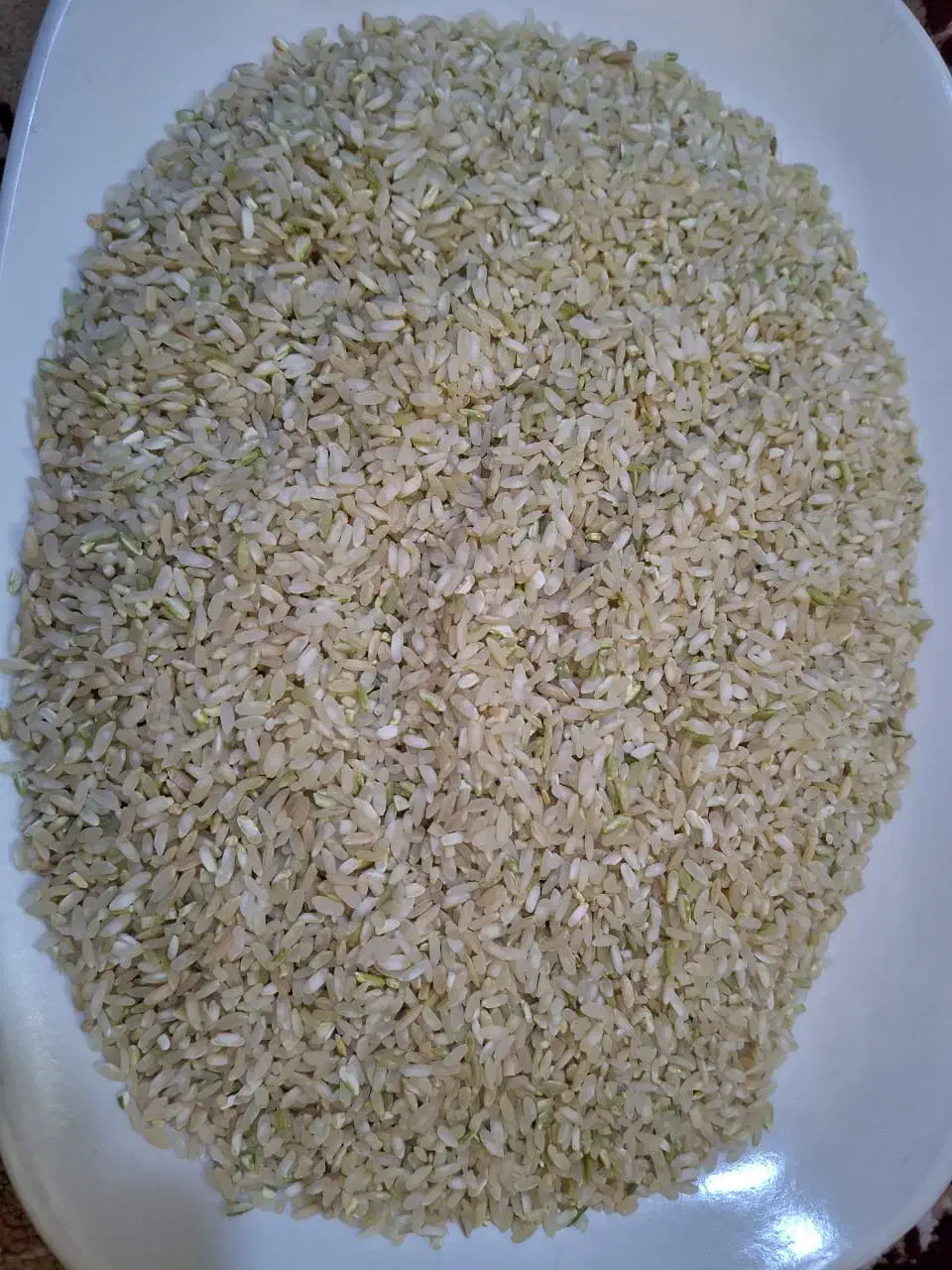 برنج چمپا محلی عنبر بو|خوردنی و آشامیدنی|شهرکرد, |دیوار