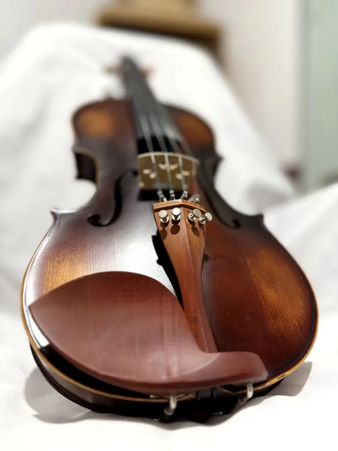 ویولن آماتی|ویولن|شیراز, سینما سعدی|دیوار