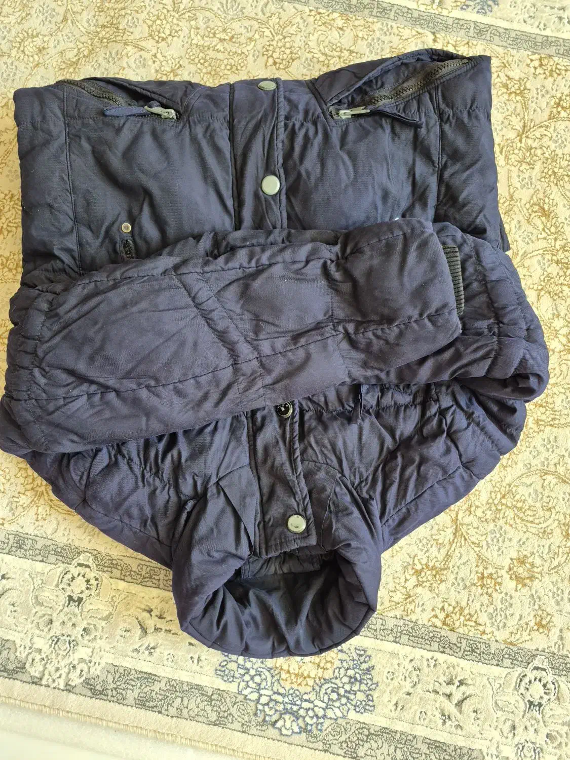 کاپشن مردانه|لباس|بیرجند, |دیوار