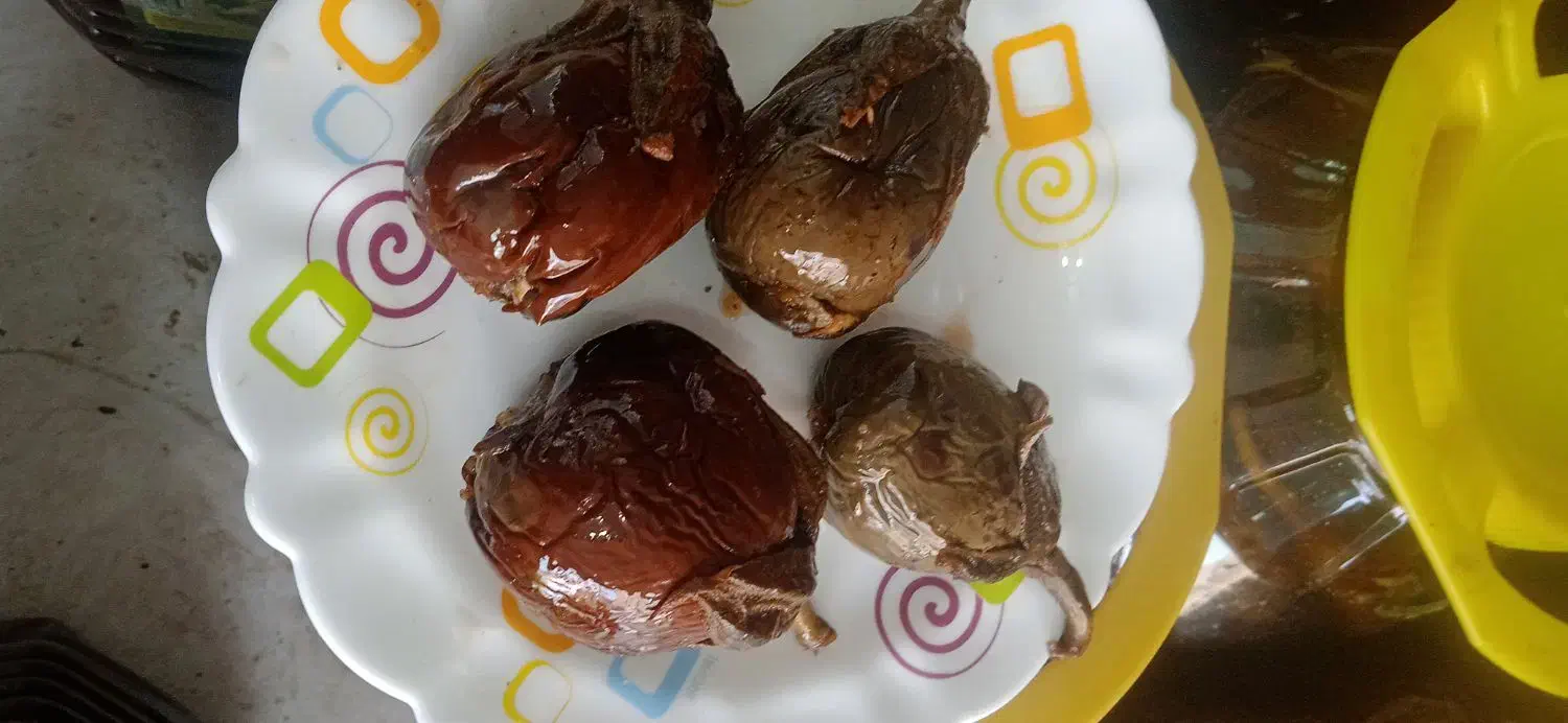 بادجان شکم پر|خوردنی و آشامیدنی|نجف‌آباد, یزدانشهر|دیوار