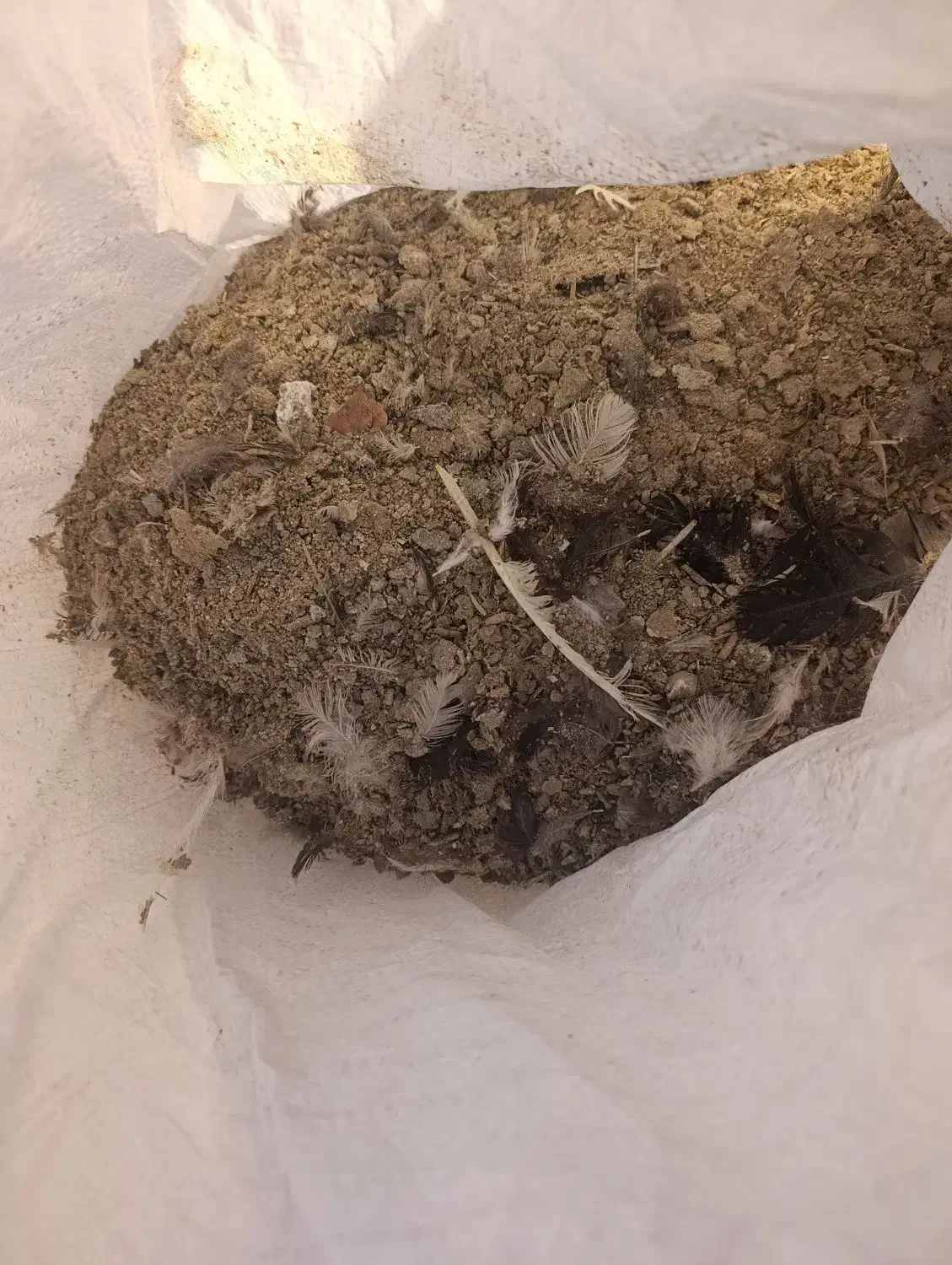 کود مرغ وبوقلمون|خدمات باغبانی و درختکاری|همدان, |دیوار