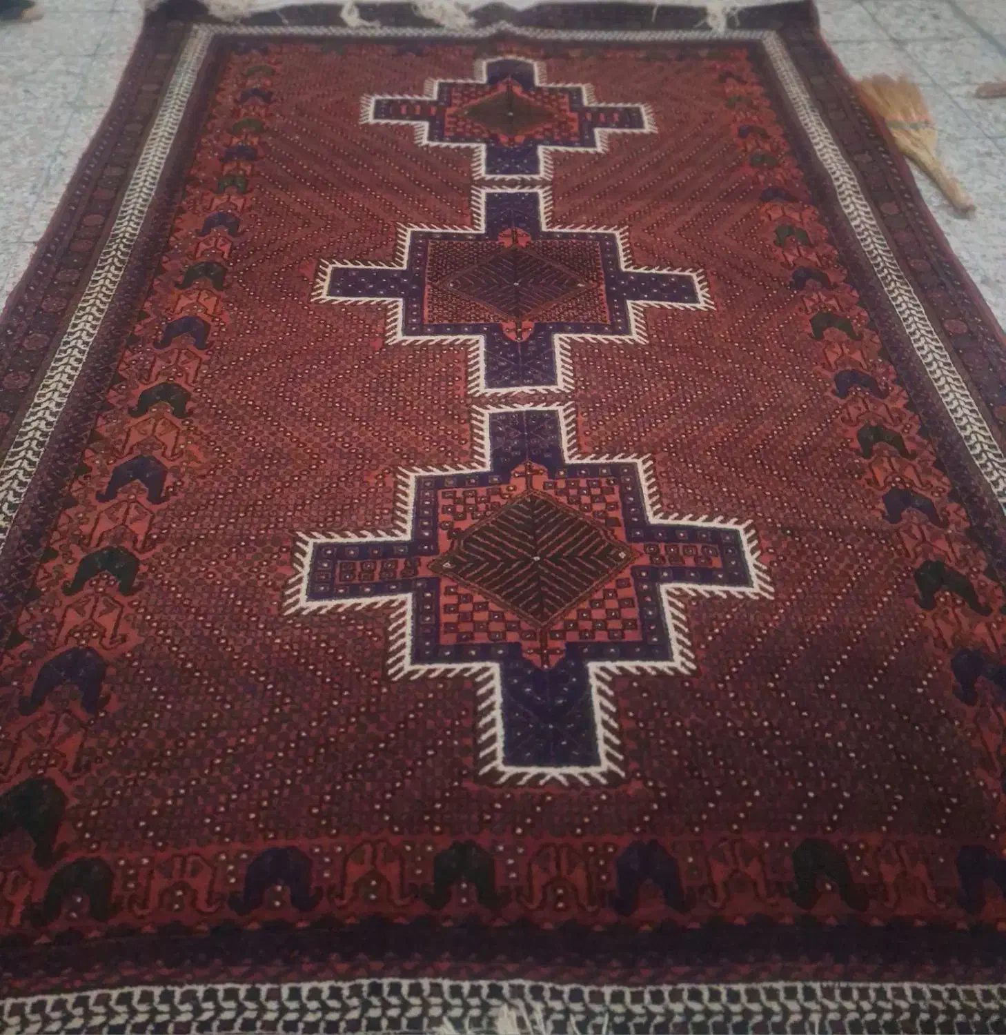 قالی سنتی دست بافت|فرش|جیرفت, |دیوار