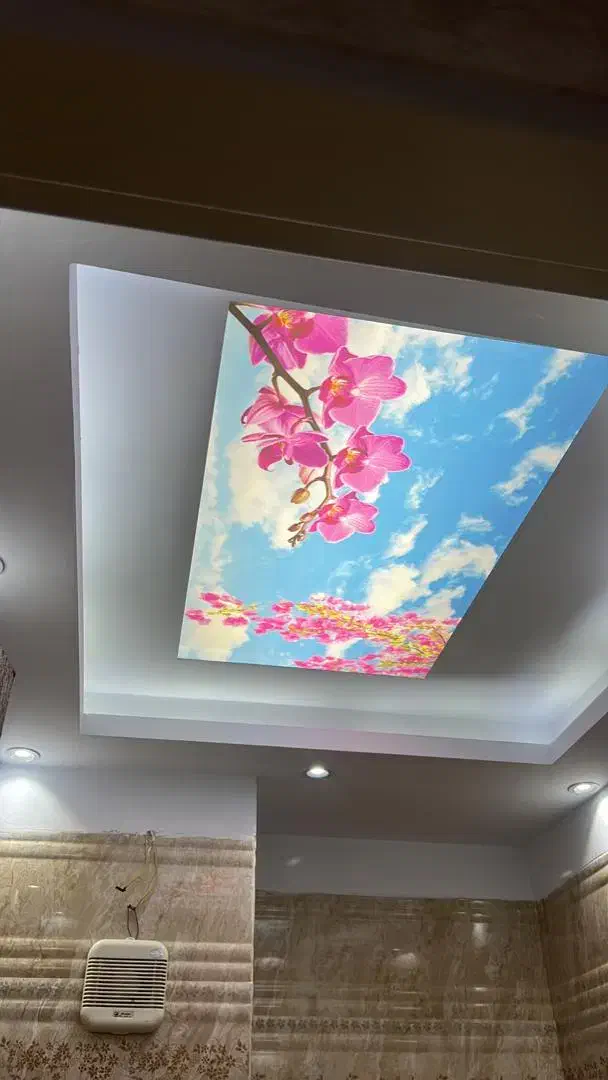 کناف و سقف کاذب زیر ۵۰ متر یک روزه در تهران|خدمات پیشه و مهارت|تهران, پاسداران|دیوار