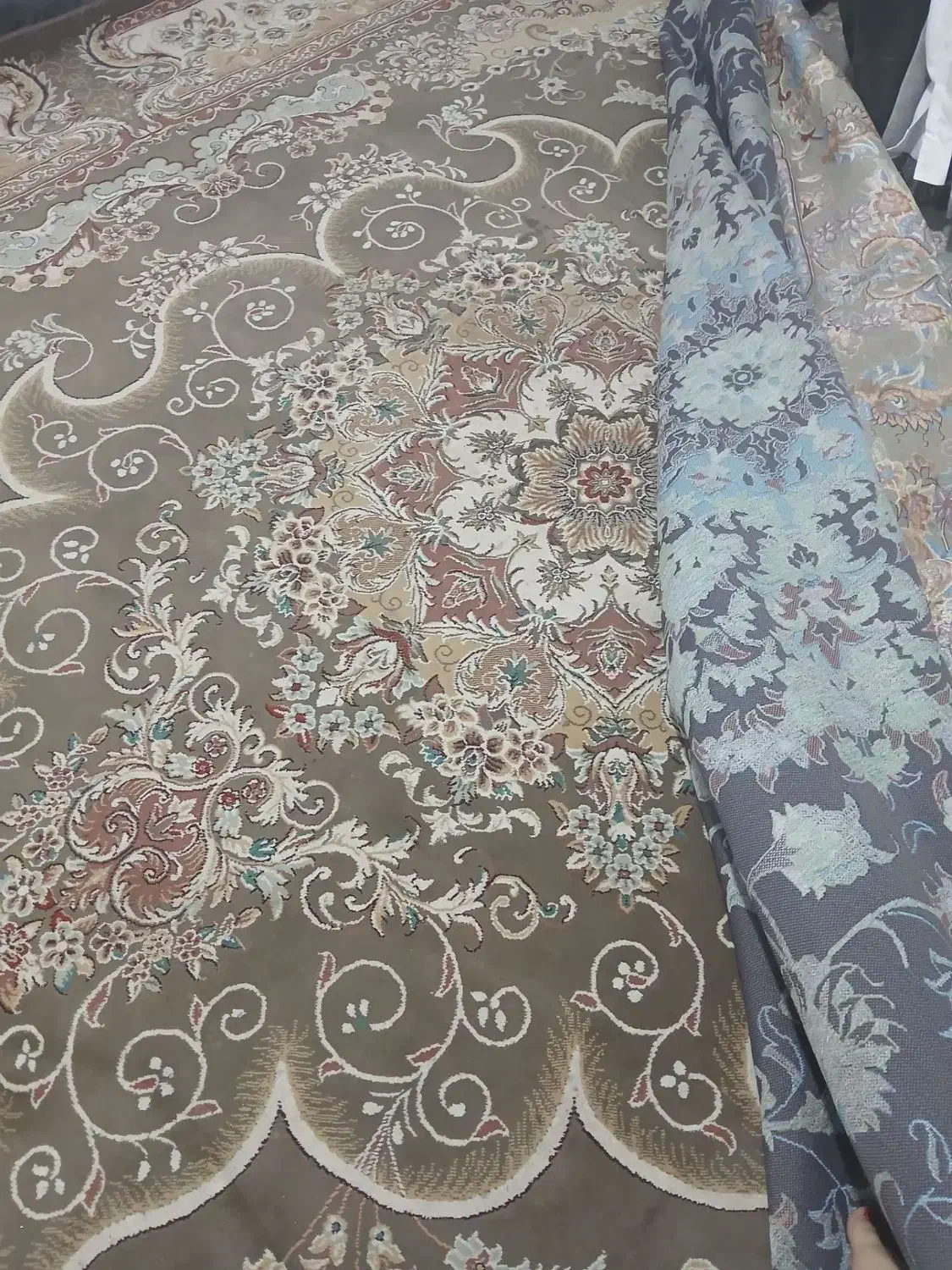 فرش|فرش|نیشابور, شریعتی|دیوار