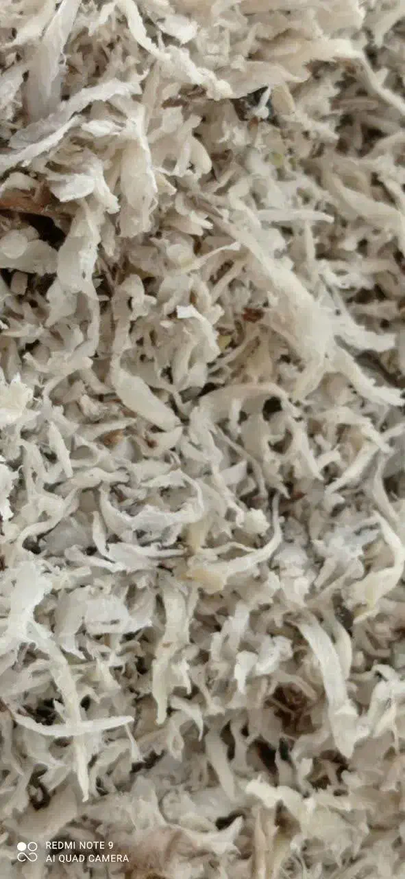 توفال چغندرقند|لوازم جانبی حیوانات|بیرجند, |دیوار