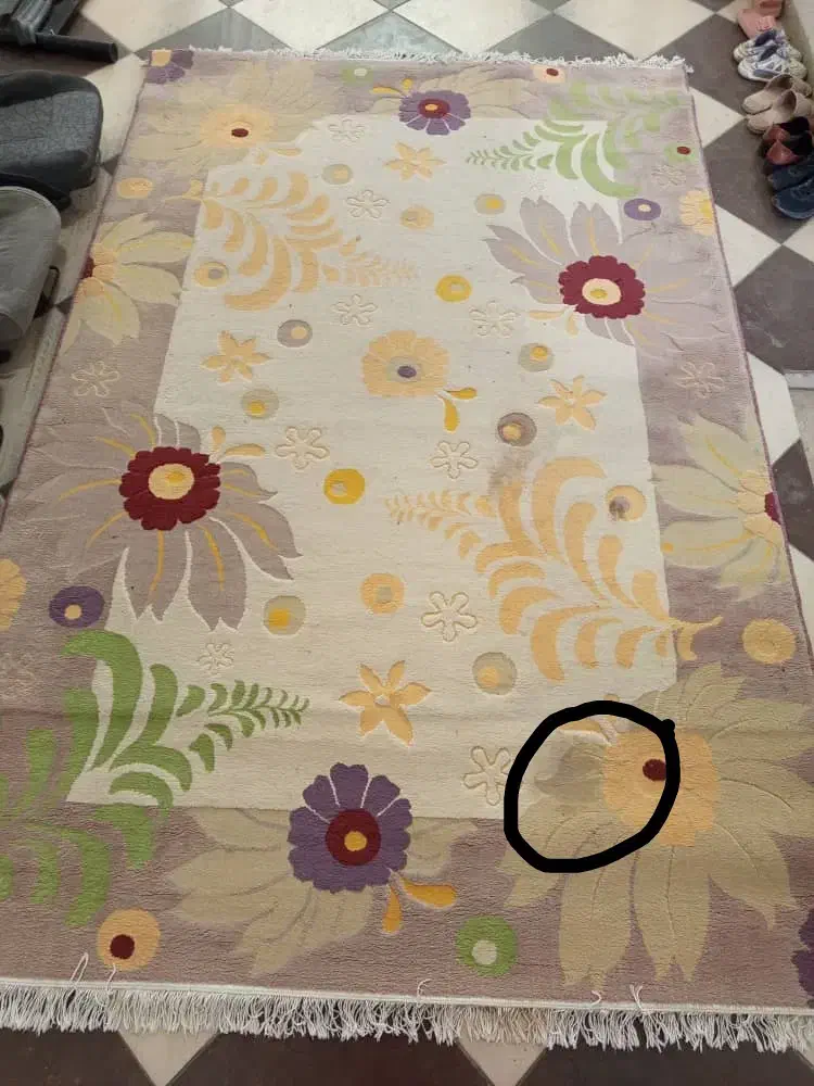 دو عدد گلیم فرش|فرش|سقز, |دیوار