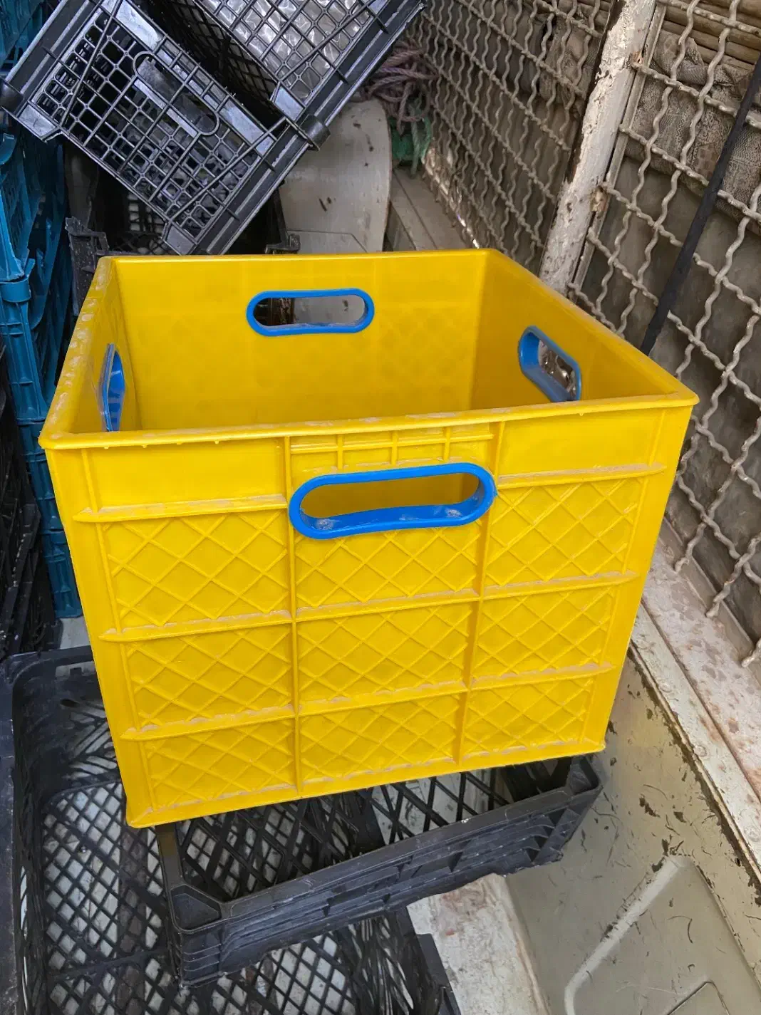 سبد|عمده‌فروشی|پاکدشت, خاتون آباد|دیوار