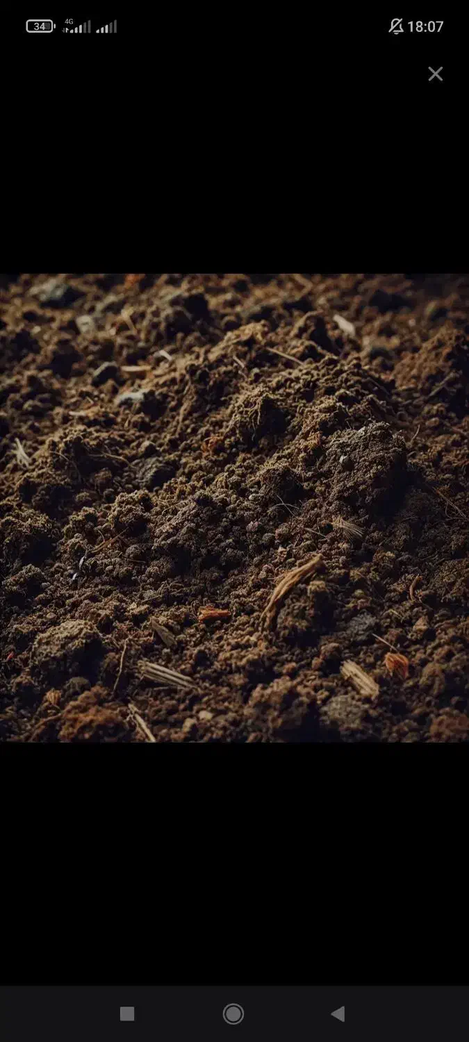 زمین 127متری مبارک اباد|فروش زمین و ملک کلنگی|قنوات, |دیوار