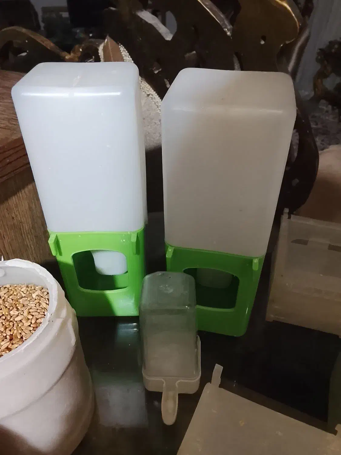 لوازم ضروری پرنده همه چیز موجوده حتی اسباببازی|لوازم جانبی حیوانات|مشهد, دانشجو|دیوار